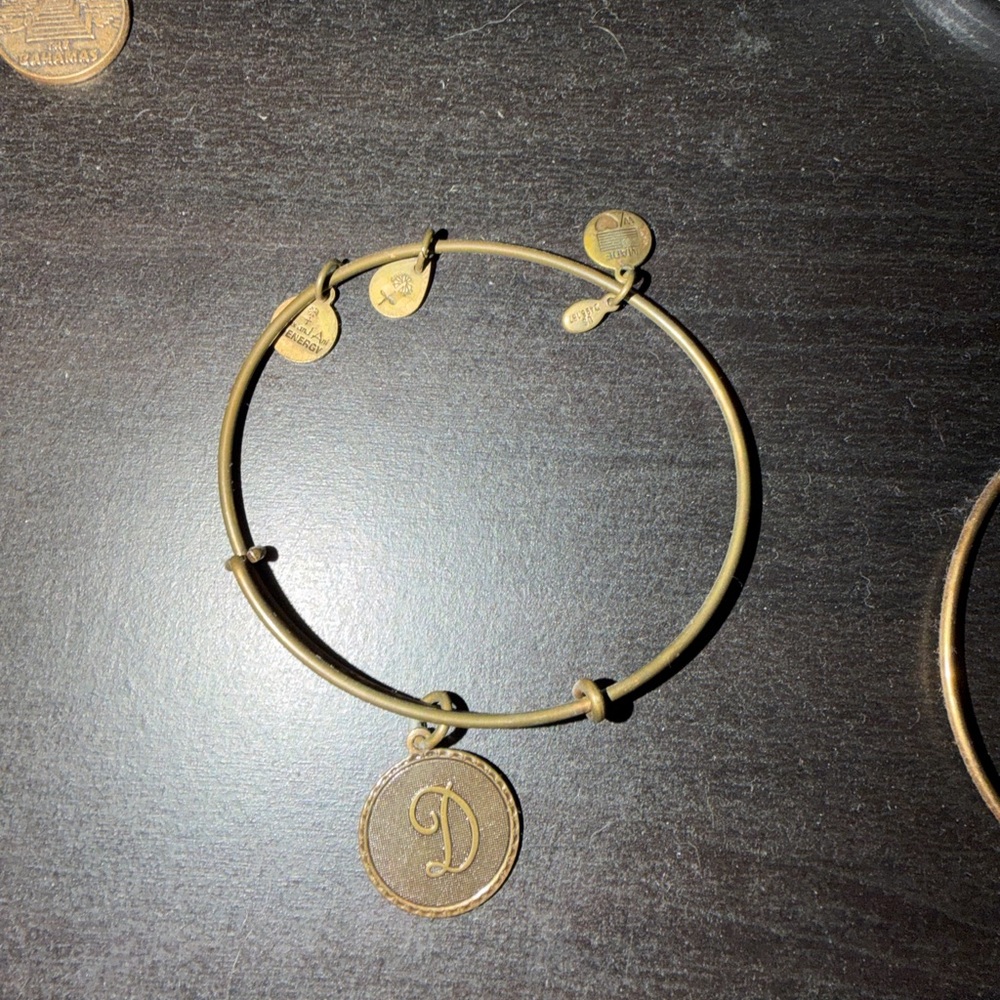 Alex and ani Gold Charm Bracelet